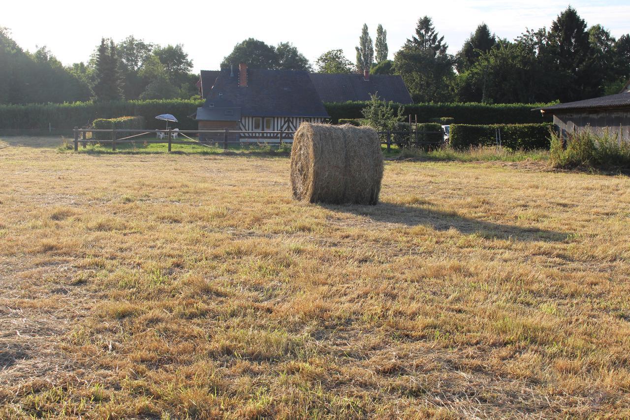 La Bouillerie Du Clos Branville Exteriör bild